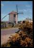 56 Erdeven Le Moulin Vent Du Narbon à ERDEVEN (Morbihan) Moulin A Vent Narbon D56D K56013K C56054C RH002749 - Erdeven