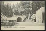 88 Tunnel De Bussang (Vosges) - C?t? Allemand Tunnel D88D C88081C RH013509 - Bussang