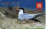 Slovenia, Mobitel, Birds 2, 1000 Tolarjev,   Common Tern , Exp. 31/12/2002. - Slovenië