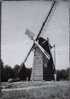 CP Du DOMEIN BOKRIJK " Openluchtmuseum , Windmolen Uit Schulen " . - Genk