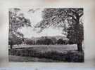 Harrow, Middlesex, From The East, Photo Of 1914, 20 X 30 Cm, England, United Kingdom, Original Perfect Condiction - London Suburbs