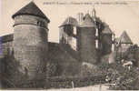 89 TREIGNY - Chateau De Ratilly, Cote Sud Ouest - Treigny