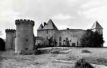 63 Le Chateau De LA ROCHE LES AIGUEPERSE Manoir Feodal Fief Du Chancelier Michel De L´Hospital Perspective Est - Aigueperse