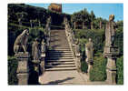 Portugal Cor 6094 – CASTELO BRANCO - JARDIM DO PAÇO EPISCOPAL- ESCADARIA DOS APÓSTOLOS - Castelo Branco