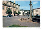 Portugal Cor 6098 – CASTELO BRANCO - OLD CARS AUTOMOBILES TAXI CAB - Castelo Branco