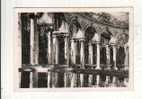 Photos, Reproductions, Versailles - La Colonnade - Altri & Non Classificati