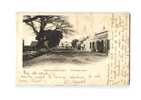 GAMBIE River Gambia, Bathurst, Wellington Street, Ed ?, 190?, Dos 1900 - Gambia