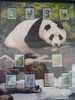 CHINA WILDLIFE 2000 SET FROM 10  PANDA MNH  SPECIAL EDITION - Game