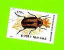 Timbre Oblitéré Used Mint Stamp Selo Carimbado Posta Romana 370 L Entomoscelis Adonidis Insect Rampant Crawling ROUMANIE - Usado