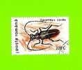 Timbre Oblitéré Used Mint Stamp Selo Carimbado Posta Romana 220 L Cerambyx Cerdo Insect Rampant Crawling Insect ROUMANIE - Oblitérés