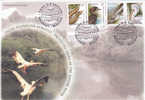 Protected Fauna Of The Danube River,birds Pelican,fish,snake,2010  Cover FDC - Romania. - Pelícanos