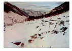 Portugal Cor 6421 – SERRA DA ESTRELA - MANTEIGAS E UM REBANHO NA NEVE - TROUPEAU SUR LA NIEGE HERD IN THE SNOW - Guarda