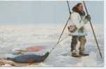 Alaska USA Seal Hunt - Sonstige & Ohne Zuordnung