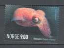 Norway 2004 Mi. 1492    6.00 Kr Meerestier Sea Animal Atlantic Sepiole Octapus MNG - Unused Stamps