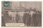 SOUVENIR Du CONCOURS AGRICOLE. Visite Ministérielle. Julien DAMOY, Boucher. Pub: Rayon Boucherie. Agriculture. Vaches. - Marktplaatsen