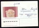 RUSSIA 1987 Entier Postaux Stationery Cover Circulated With Cactusses,cactus.(A) - Sukkulenten