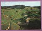 Oberbergen Im Kaiserstuhl  -  Terrassenlandschaft Mit Blick Gegen Totenkopf - Kaiserstuhl