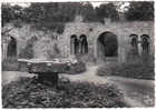 Carte Postale 29. Daoulas  L'abbaye  La Vasque De Granit Du Cloitre Trés Beau Plan - Daoulas