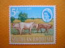 RHODESIE DU SUD.  BOEUFS. - Southern Rhodesia (...-1964)