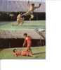 (1006) - 2 Carte D´art Martial  / 2 Martial Art Postcard - - Kampfsport