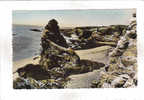 85 - Brétignolles      La Côte Sauvage Et Le Rocher Ste-Véronique - Bretignolles Sur Mer