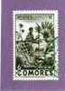 COLONIES FRANCAISES COMORES TIMBRE N° 6 OBLITERE FEMME INDIGENE - Andere & Zonder Classificatie