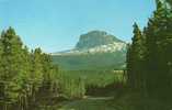 6849    Canada  Alberta  Warterton  National Park  ,Chief  Mountain  VG  1976 - Altri & Non Classificati