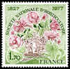 France Végétaux Fleurs N° 1930 ** Société Nationale D Horticulture - Rose - Tulipe - - Rozen