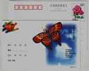 Butterfly Kite,China 1999 Post Echo Advertising Postal Stationery Card - Unclassified