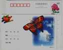 Butterfly Kite,China 1999 Post Echo Advertising Postal Stationery Card - Sin Clasificación