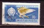 PGL - HONGRIE AERIENNE Yv N°232 - Used Stamps