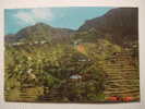 4938 TAMARGADA VALLEHERMOSO LA GOMERA CANARIAS CANARY ISLANDS POSTAL AÑOS 1970 MIRA OTRAS SIMILARES EN MI TIENDA - Gomera