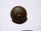 BOUTON - MILITAIRE - GRENADE - PARIS - H.J. ENCADRE D´ETOILES - 22 Mm DE DIAMETRE - Buttons