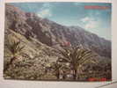 4944 VALLE GRAN REY GOMERA CANARIAS CANARY ISLANDS POSTAL AÑOS 1960 MAS DE ESTA CIUDAD EN MI TIENDA - Gomera