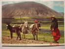 4948 COUNTRYWOMAN WORK LABRADORA LANZAROTE  CANARIAS CANARY ISLANDS POSTAL AÑOS 1960 MAS DE ESTA CIUDAD EN MI TIENDA - Lanzarote