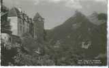 C.P.M. Château De Gruyères - Dents De Broc Et Chamois - Broc