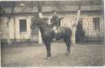 Frankfurt A D Oder Booßen Boossen Kurt Rietz Sommer 1926 Hoch Zu Pferd Roß A Reiter V Haus Hofbesitzer  Priv Fotokarte - Frankfurt A. D. Oder