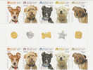 Australia-2010 Dogs Adopted & Adored Gutter Strip MNH - Nuevos