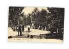 88 VITTEL Jeu De Boules, Pétanque, Partie, Bien Animée, Sports, Ed LL 52, 1926 - Bowls