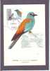CARTE MAXIMUM, MAXIMUM CARD, BIRDS, OISEAUX, SLOVENIA, CORACIAS GARRULUS - Colibris