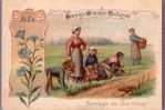 Agriculture - Chromo Format 10.5 X 7.2 - Dans Les Grandes Cultures - Serclage Du Lin (France) - Culturas