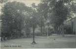 Ixelles :  Arbre Bénit  :  Plaine De Basket Ball  ( Carte Ecrit 1910 Avec Timbre ) - Elsene - Ixelles