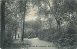 Ixelles :  Arbre Bénit  :  Maison De Campagne : Une Allée     ( Carte Ecrit 1910 Avec Timbre ) - Ixelles - Elsene