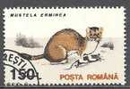 1 W Valeur Oblitérée,used - ROUMANIE - MUSTELLA ERMINEA - N° 1262-9 - Rodents