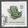 1 W Valeur Oblitérée,used - POLOGNE - POLSKA - BUFO VIRIDIS - N° 1263-4 - Frogs