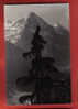M044 Zinal Val D´Anniviers, Blanc Moming,Besso,Gabelhorn.Carte Bonne Année Grand Hotel Diablons+Durand.Sierre 1932.Gyger - Anniviers