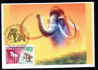 Romania New 2004  Maximum Card Elephants ,animal Phreistoric,rare RRR. - Eléphants