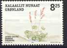 #Greenland 2005. Flower. Michel 456. MNH(**) - Nuovi