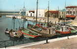 ILE DE RE (17) LA FLOTTE Port Bateaux De Peche - Ile De Ré