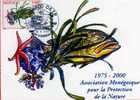 Carte 1° Jour, Obliteration, Timbre, Association Monegasque Pour La Protection, Monaco O.E.T.P, 02 10 2000, Illustrateur - Pescados Y Crustáceos
